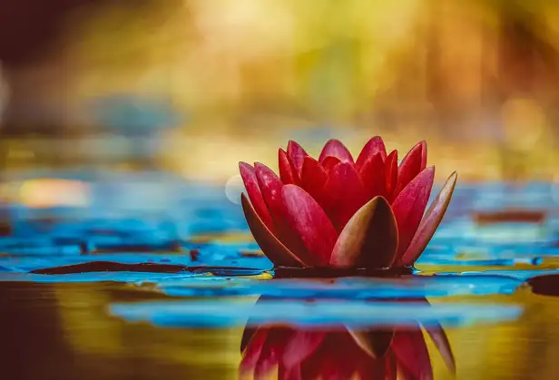 Why the Best Things Take Time– Lessons from Bhagavad Gita Why the Best Things Take Time– Lessons from Bhagavad Gita